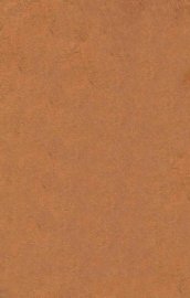 四大美人演义 - 封面图