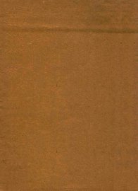 林中奇侠 - 封面图