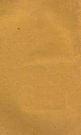 秘密女子 - 封面图