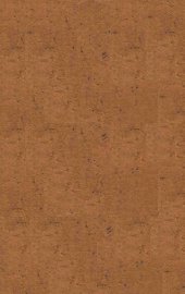 鲁迅回忆断片 - 封面图