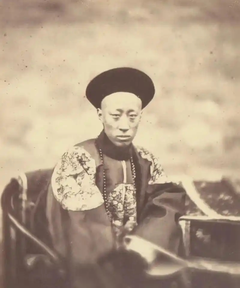 辛酉政变 - 封面图