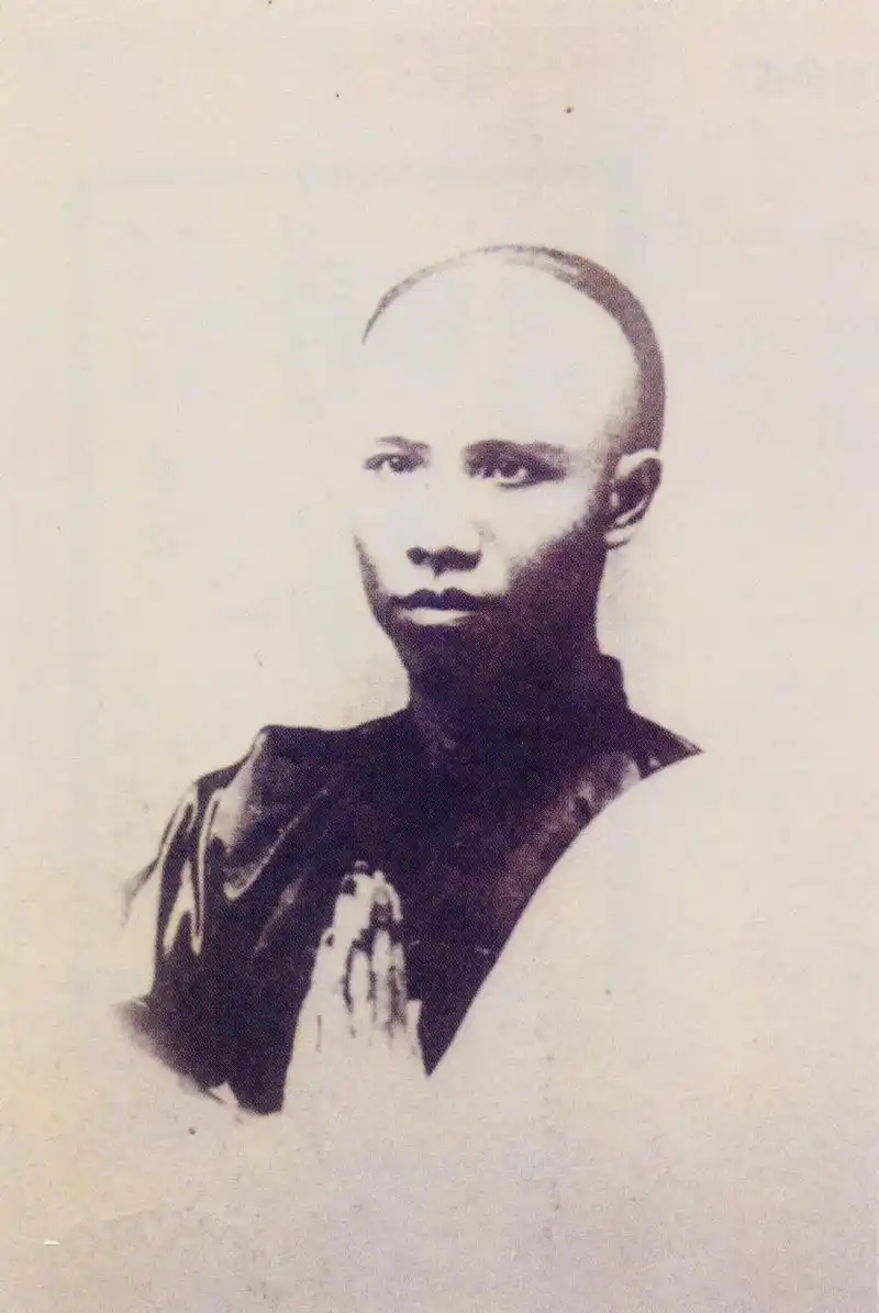 谭嗣同 - 封面图